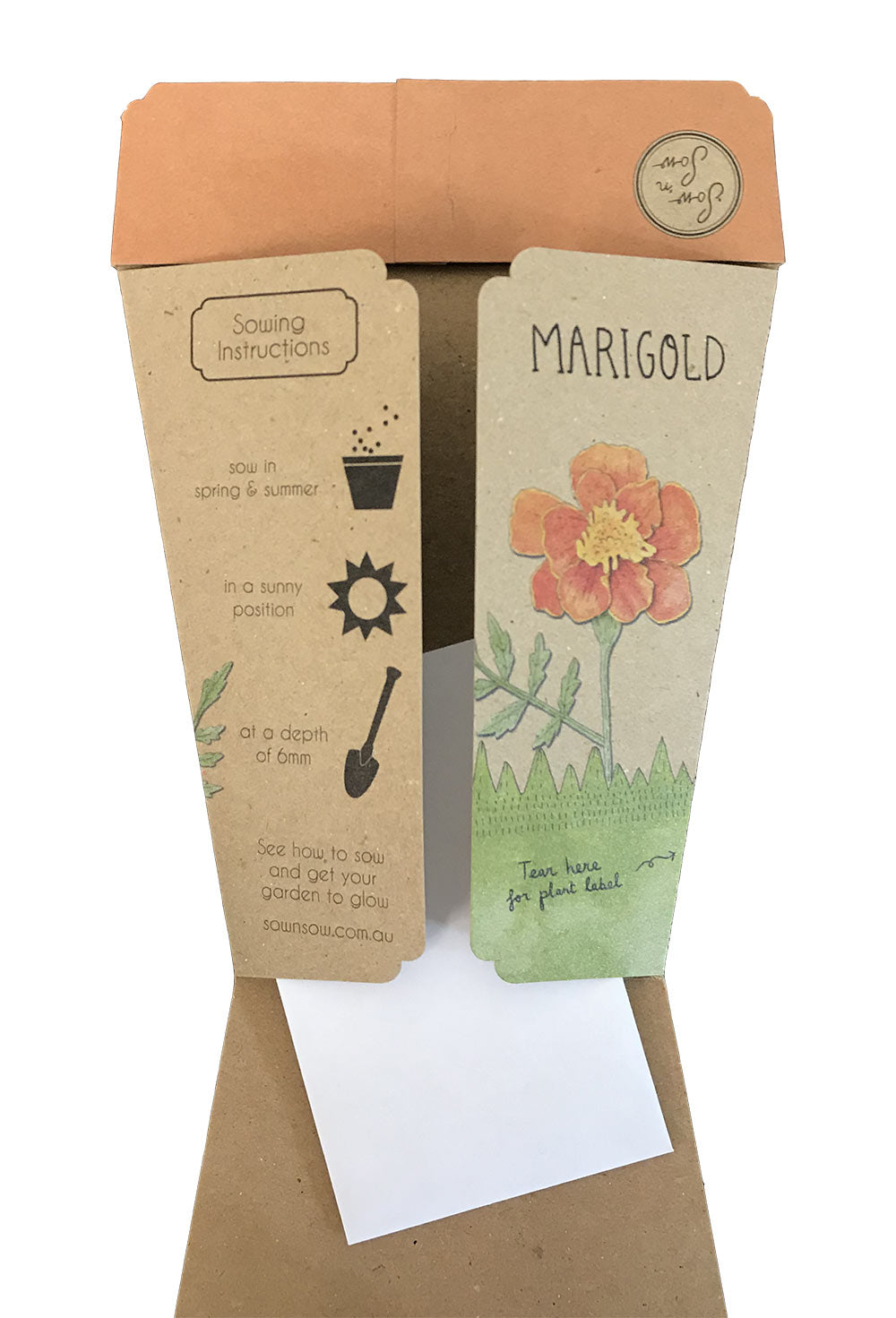 Gift of Seeds | Marigolds