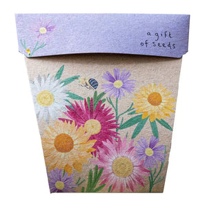 Gift of Seeds | Daisy Mix - MOSS AND WILD