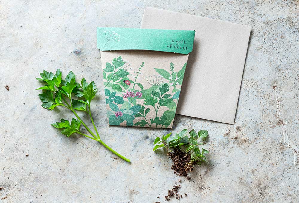 Gift of Seeds | Garden Herbs - MOSS AND WILD