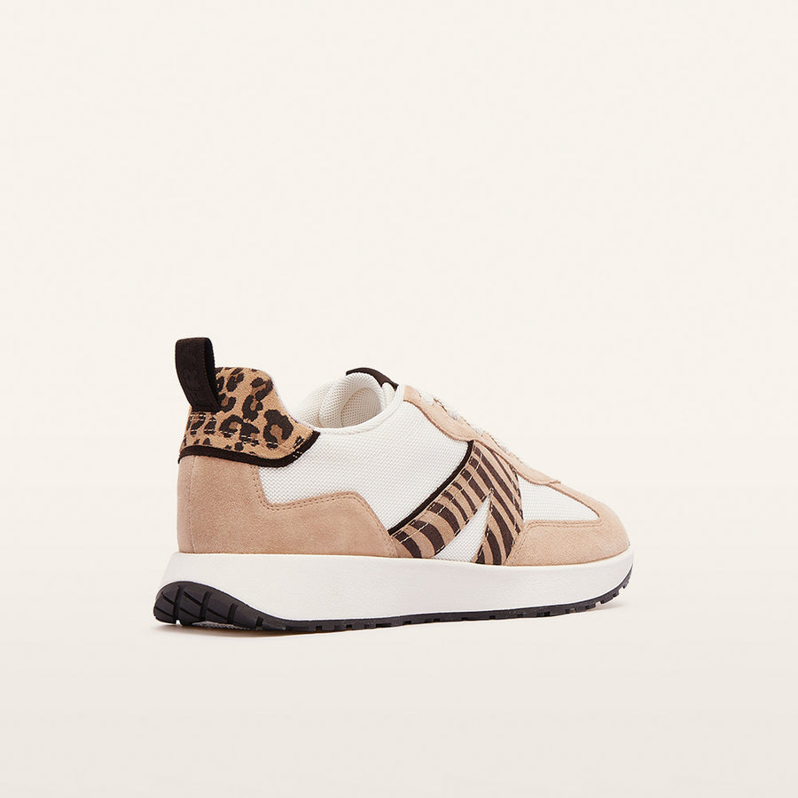 Axel II | Camel