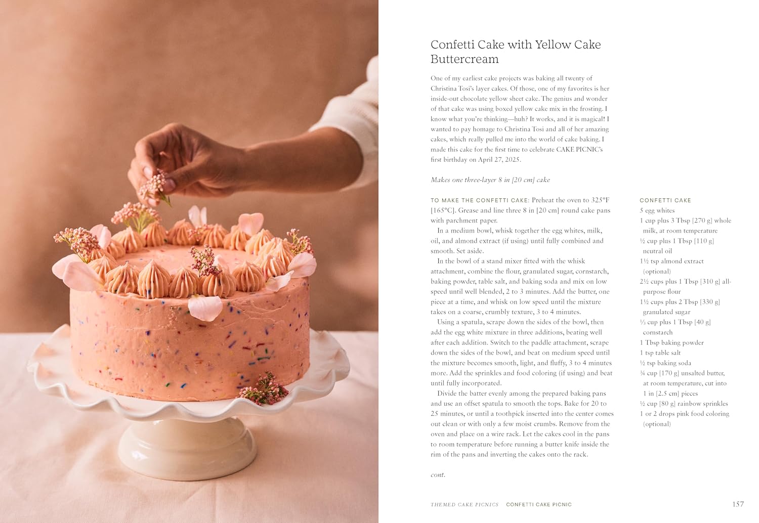 Cake Picnic