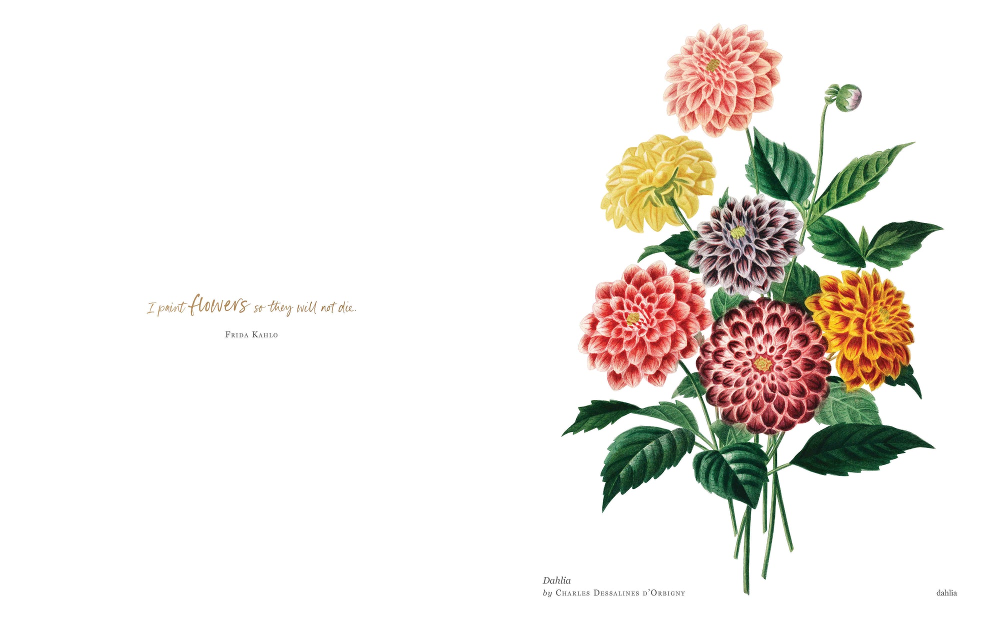 Biblioflora