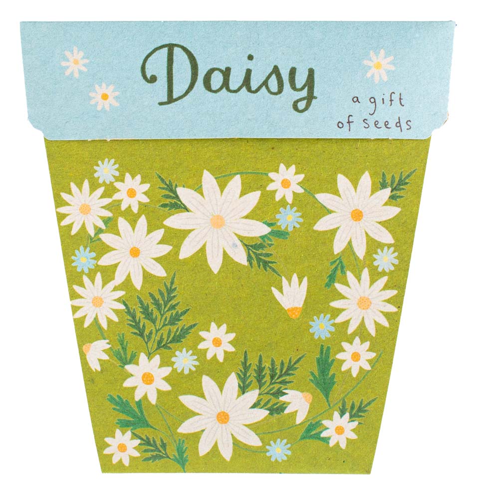 Gift of Seeds | Daisy