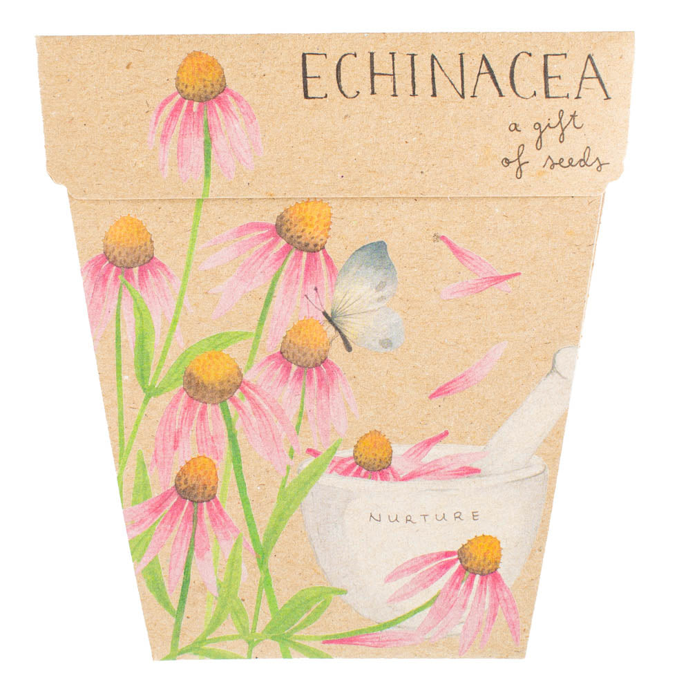Gift of Seeds | Echinacea