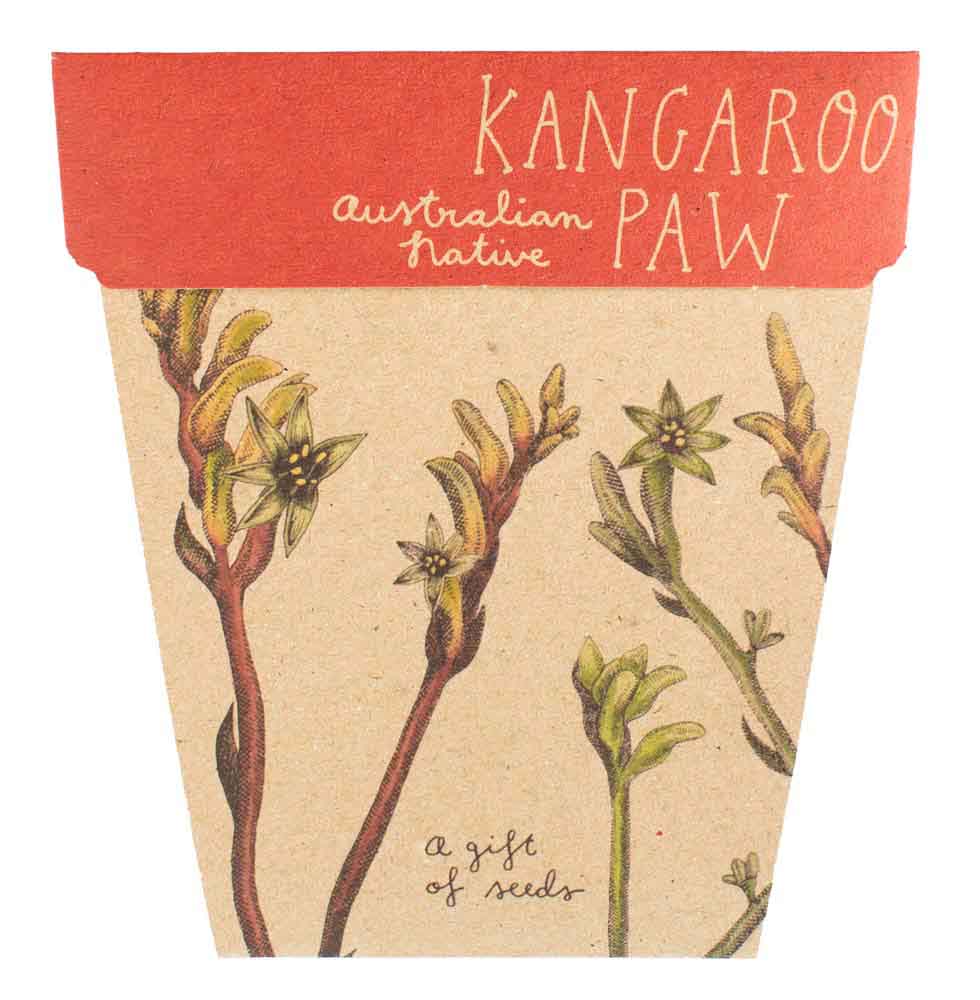 Gift of Seeds | Kangaroo Paw