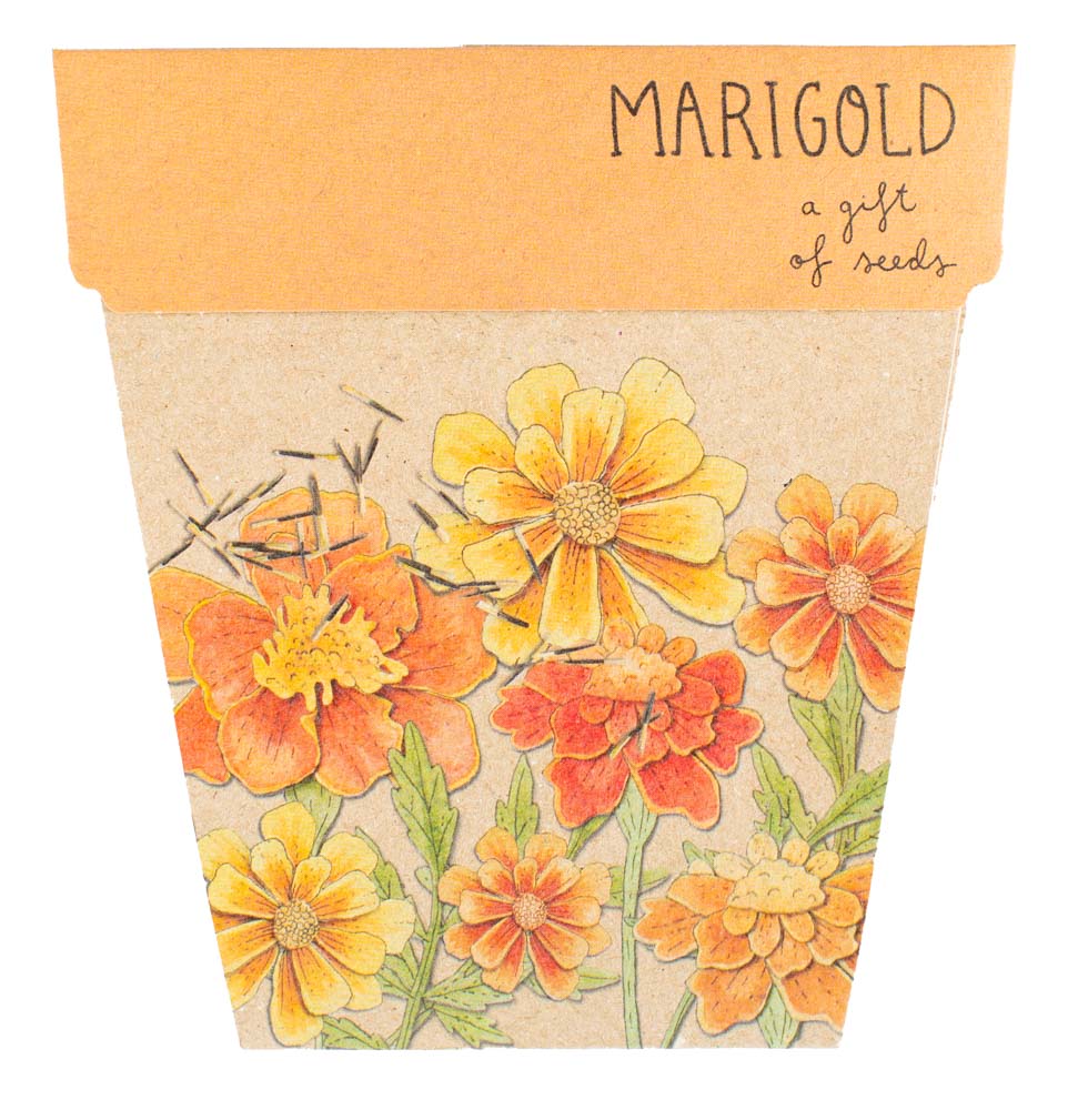 Gift of Seeds | Marigolds