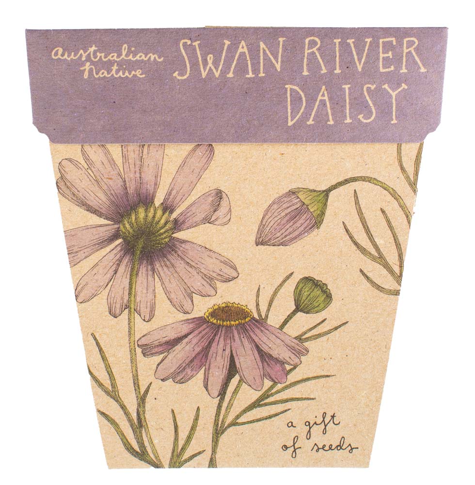 Gift of Seeds | Swan River Daisy
