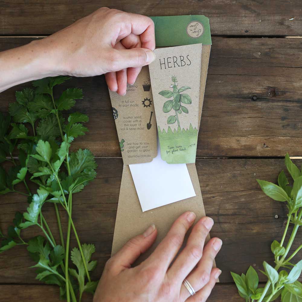 Gift of Seeds | Trio of Herbs