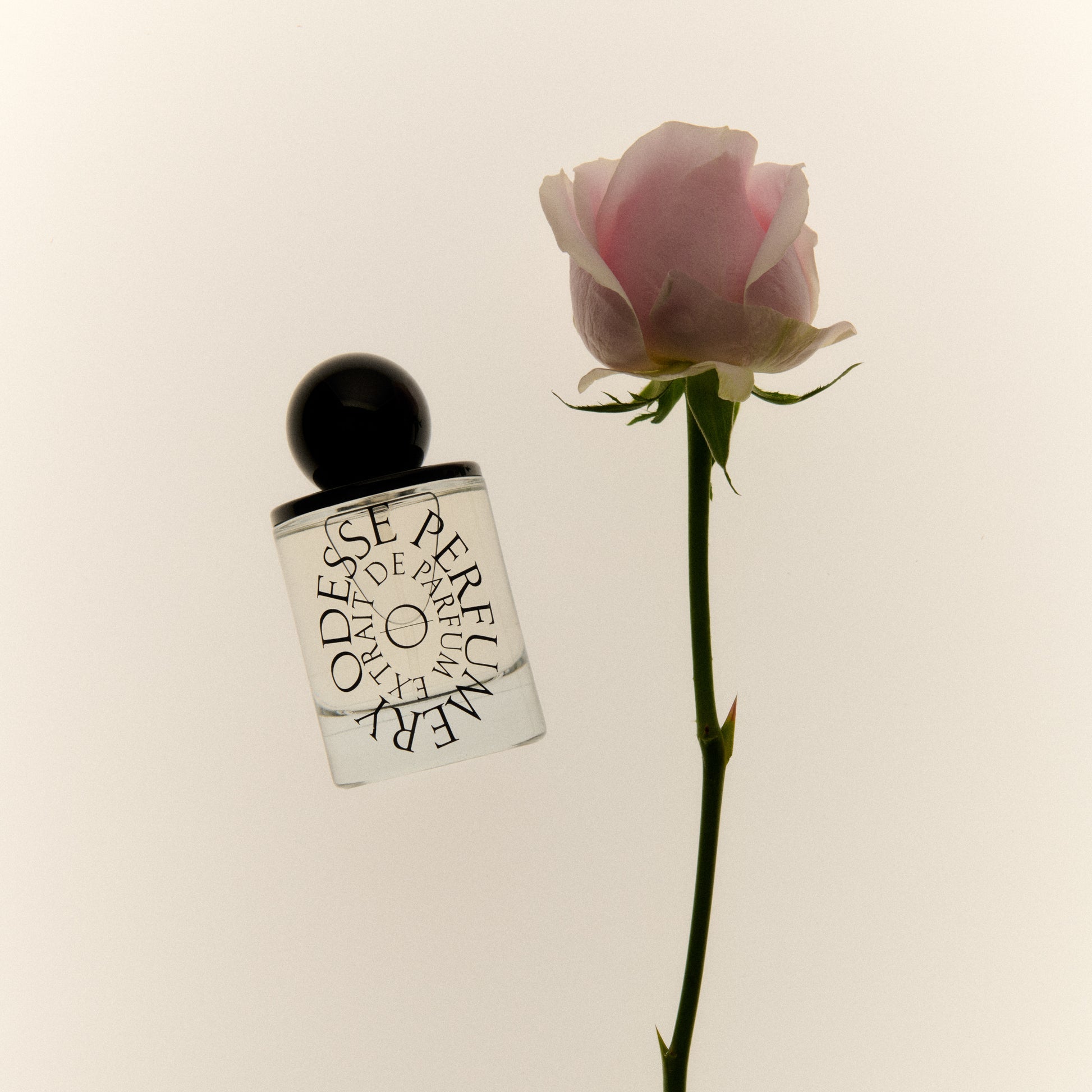 Rose Wood | Extrait De Parfum
