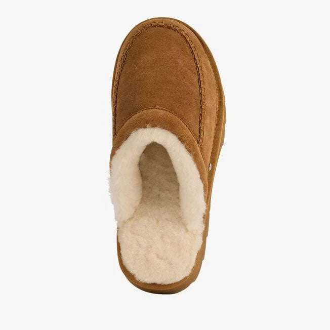 Sharky Slide | Chestnut