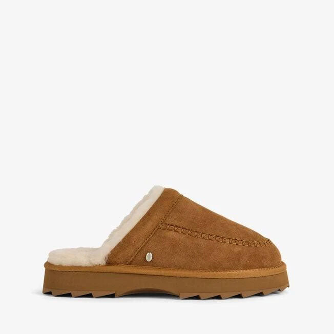 Sharky Slide | Chestnut