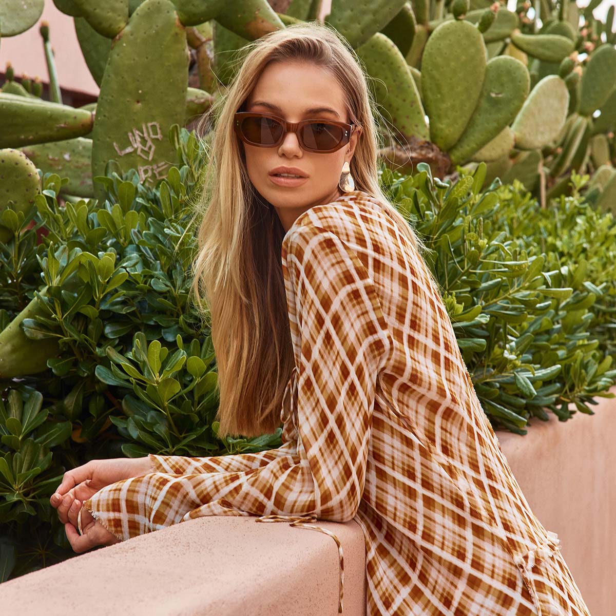 Luna Sunglasses | Brown