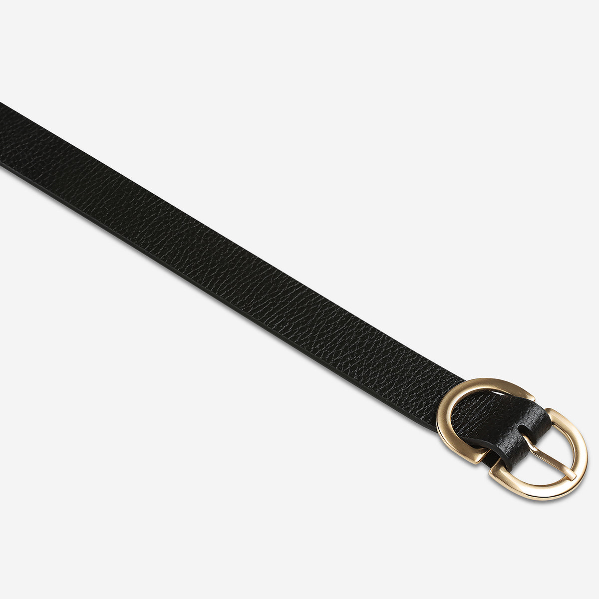 In Reverse Belt