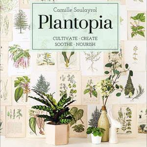 Plantopia - MOSS AND WILD