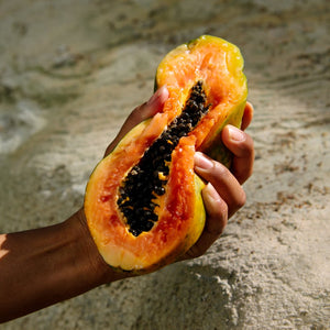 Kiama | Summer Melon & Illawarra Eco Diffuser - MOSS AND WILD