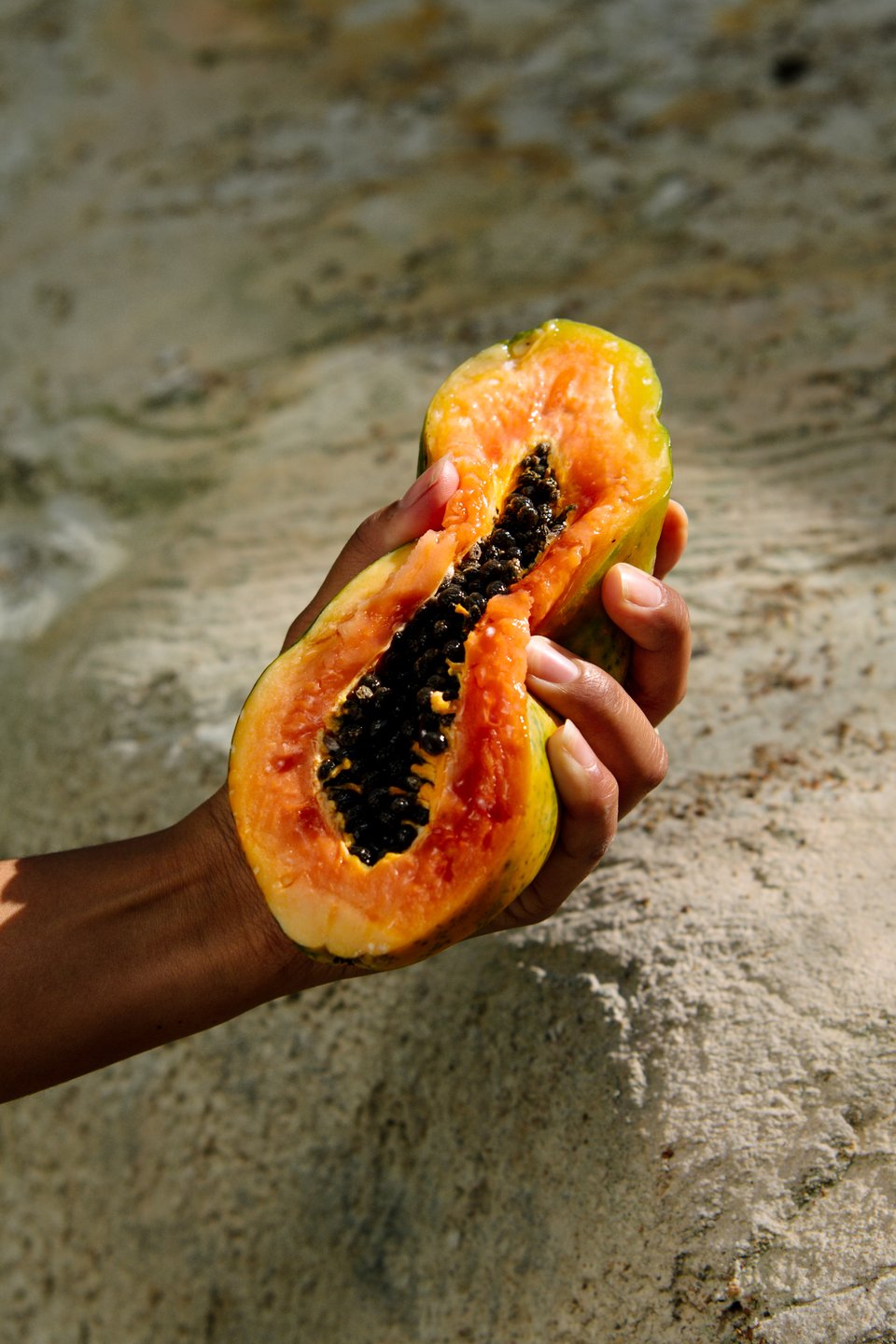Kiama | Summer Melon & Illawarra Plum Soy Candle - MOSS AND WILD