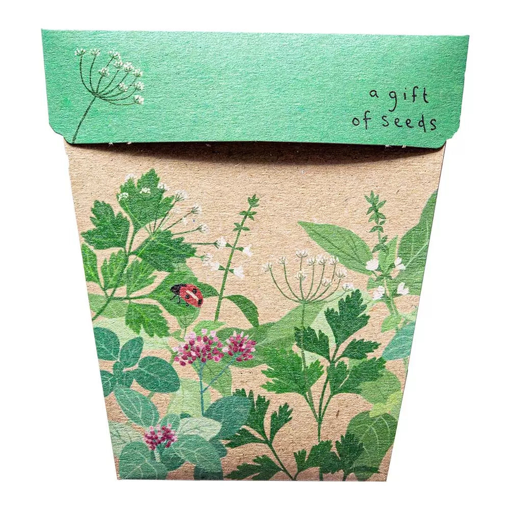 Gift of Seeds | Garden Herbs - MOSS AND WILD
