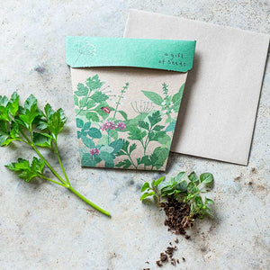 Gift of Seeds | Garden Herbs - MOSS AND WILD