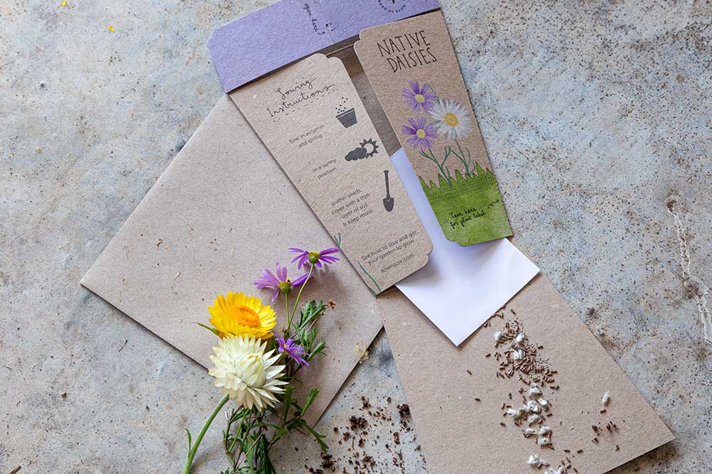 Gift of Seeds | Daisy Mix - MOSS AND WILD