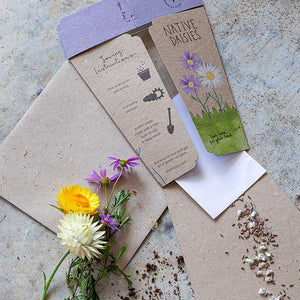 Gift of Seeds | Daisy Mix - MOSS AND WILD