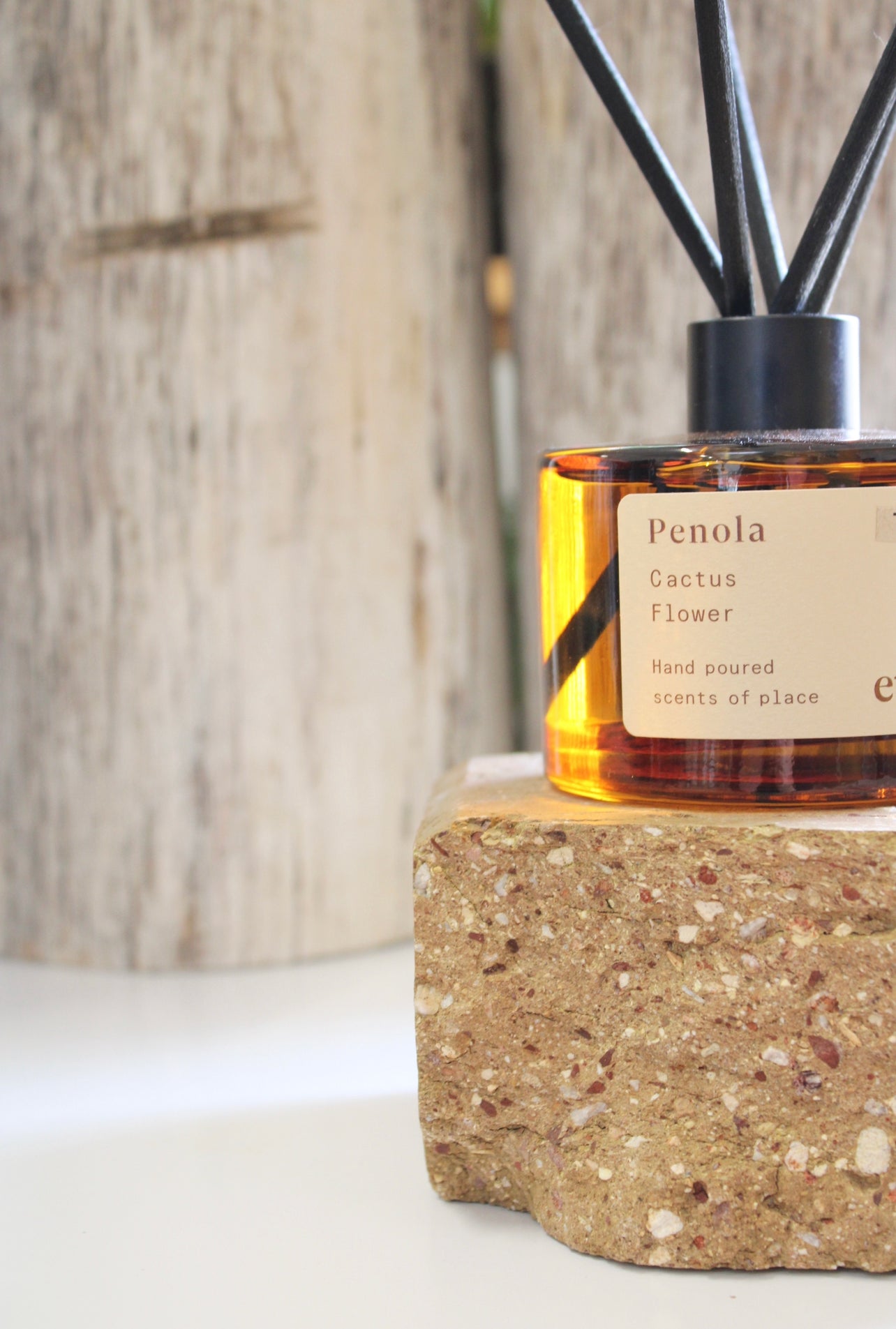 Penola | Cactus Flower Eco Diffuser - MOSS AND WILD