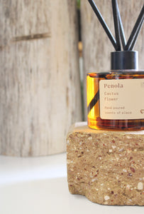 Penola | Cactus Flower Eco Diffuser - MOSS AND WILD