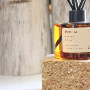 Penola | Cactus Flower Eco Diffuser - MOSS AND WILD